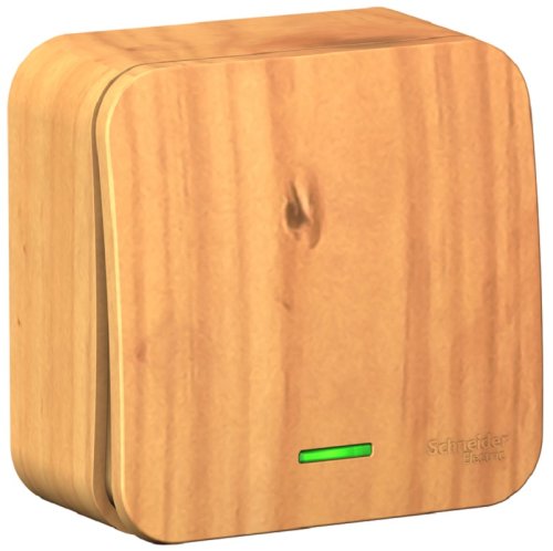 Выключатель с подсветкой накладной Systeme Electric Blanca 1-кл. ясень фото Выключатель с подсветкой накладной Systeme Electric Blanca 1-кл. ясень картинка